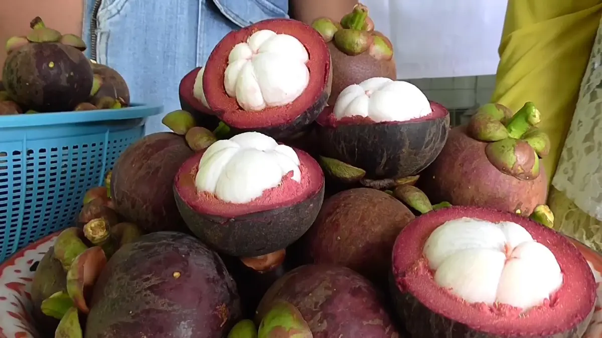 มีรายได้เพิ่ม เมนูเด็ด 'มังคุดไทย' ทำกินเองก็ฟิน เป็นอาชีพ ทำขาย