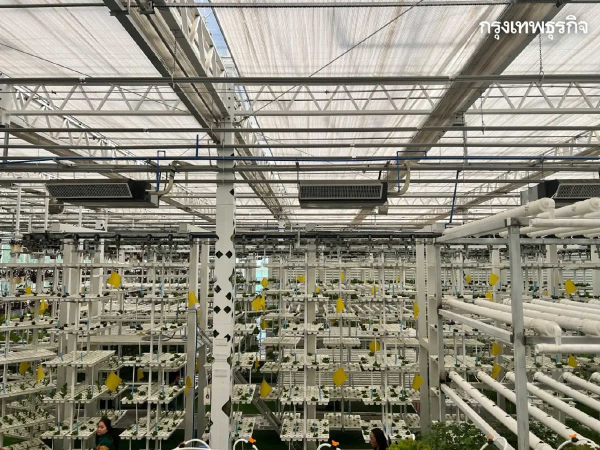 พลิกฟื้น ‘เกษตรกรรม’ ใน ‘ซินเจียง’ ด้วยเทคโนโลยี