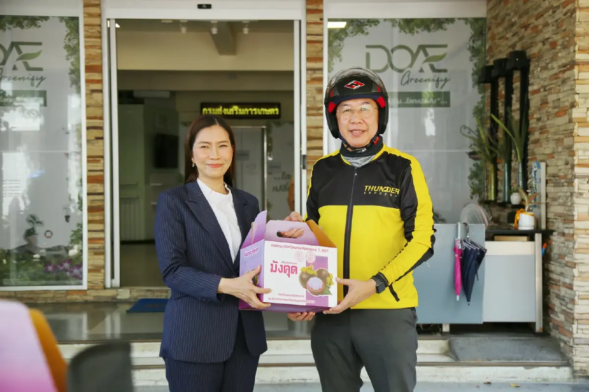 กรมส่งเสริมการเกษตร ส่งมังคุดสดจากแปลงใหญ่ถึงมือผู้บริโภค
