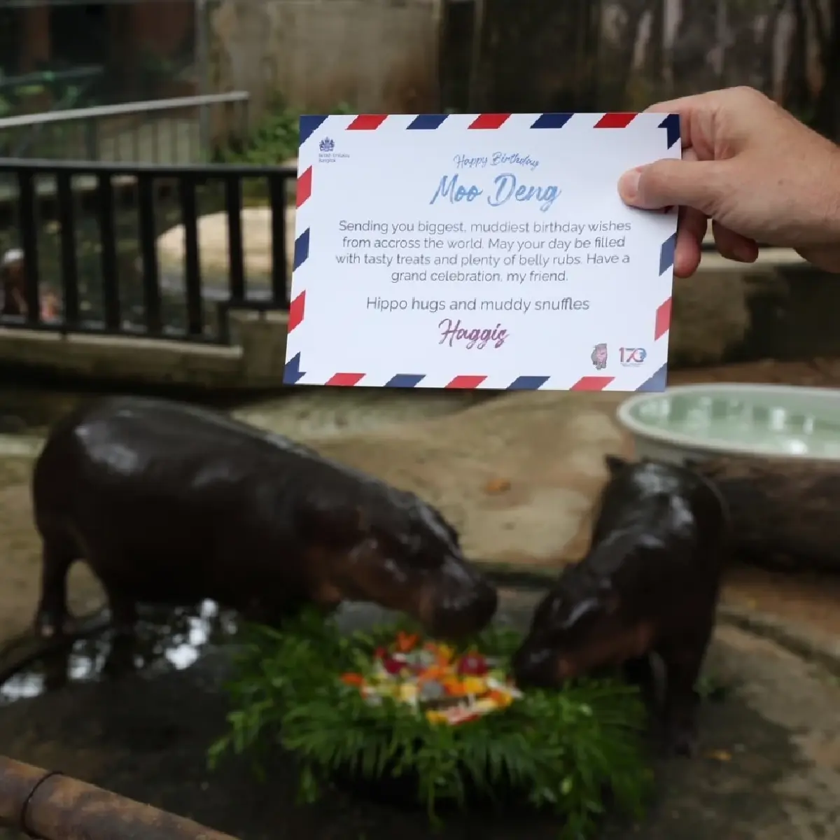 แฮปปี้เบิร์ธเดย์เพื่อนซี้  จากแฮกกิสถึงหมูเด้ง l World Pulse