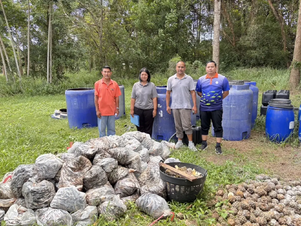 กรมประมง ขยายโควตา รับซื้อปลาหมอคางดำ 6 แสนกก.ในเดือน ก.ค.  นี้