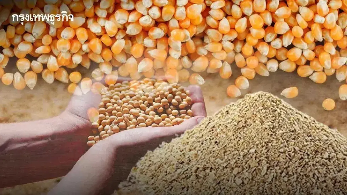 อาหารสัตว์แพงขึ้น เปิดนโยบาย ก.เกษตรฯ ช่วยเกษตรกรไทยได้จริงหรือ