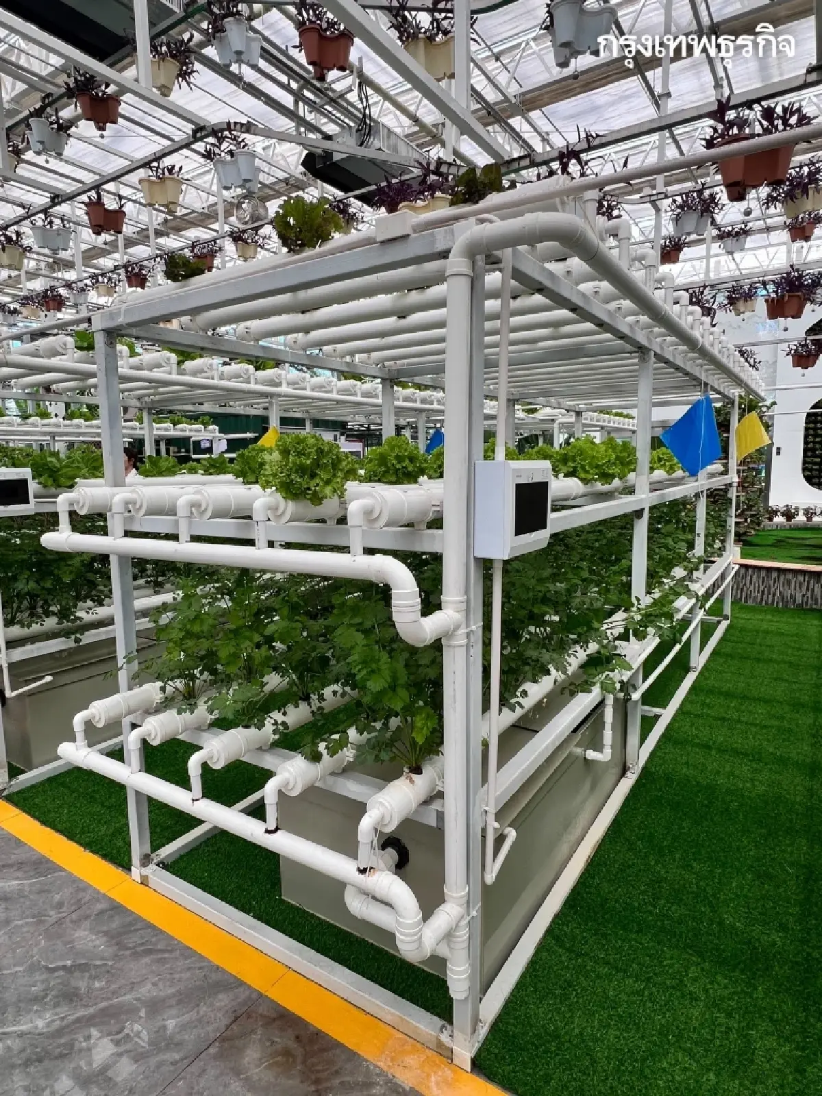 พลิกฟื้น ‘เกษตรกรรม’ ใน ‘ซินเจียง’ ด้วยเทคโนโลยี