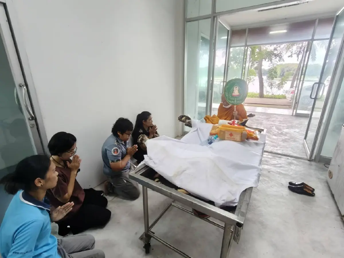 เศร้า 'ต้าร์สอง' เสือโคร่ง วัย 17 ปี ป่วยมะเร็งเต้านม เสียชีวิตแล้ว