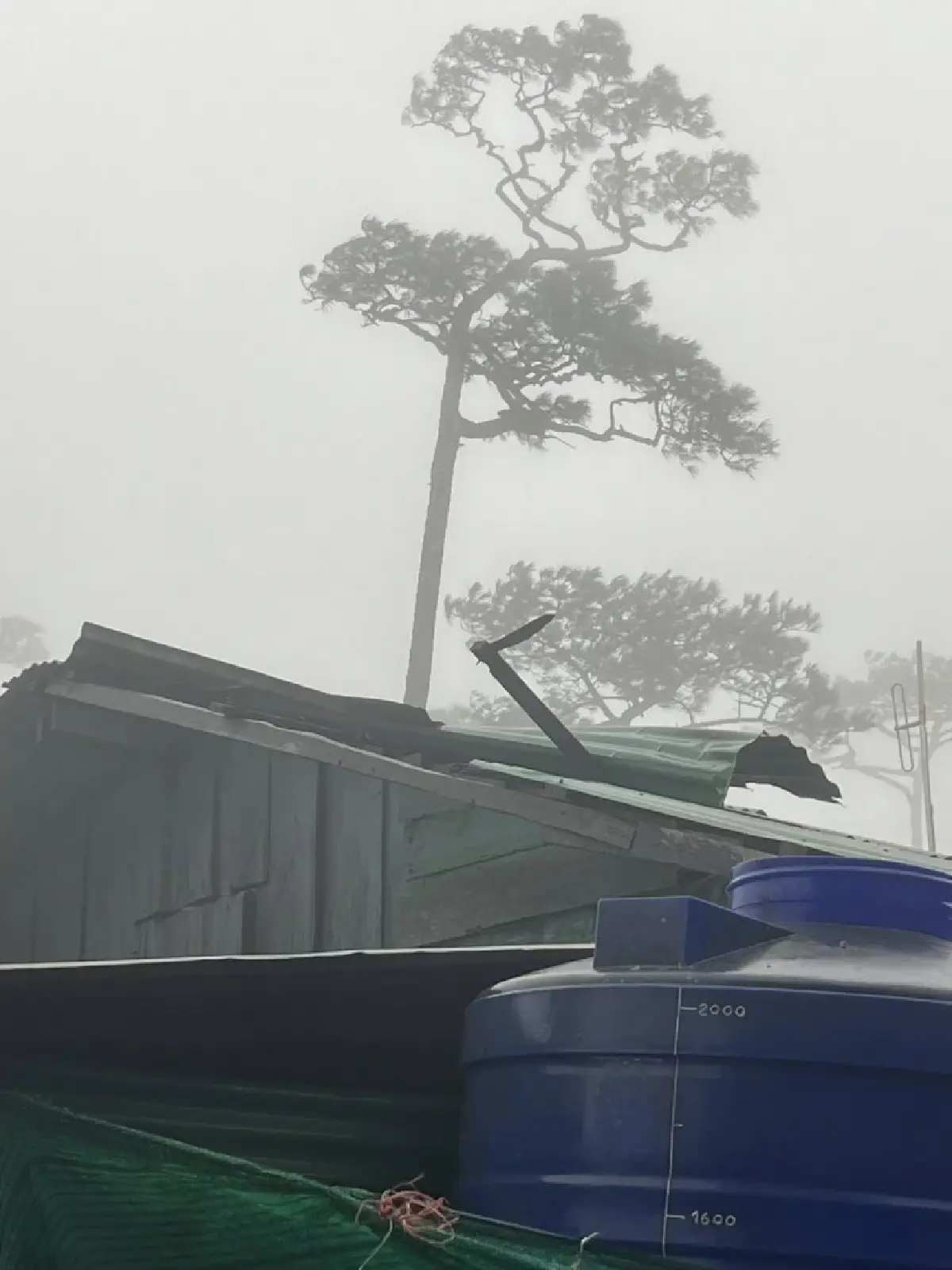 ฝนตกหนัก ลมแรง อช.ภูสอยดาว ปิดท่องเที่ยว-พักแรมบริเวณลานสนชั่วคราว