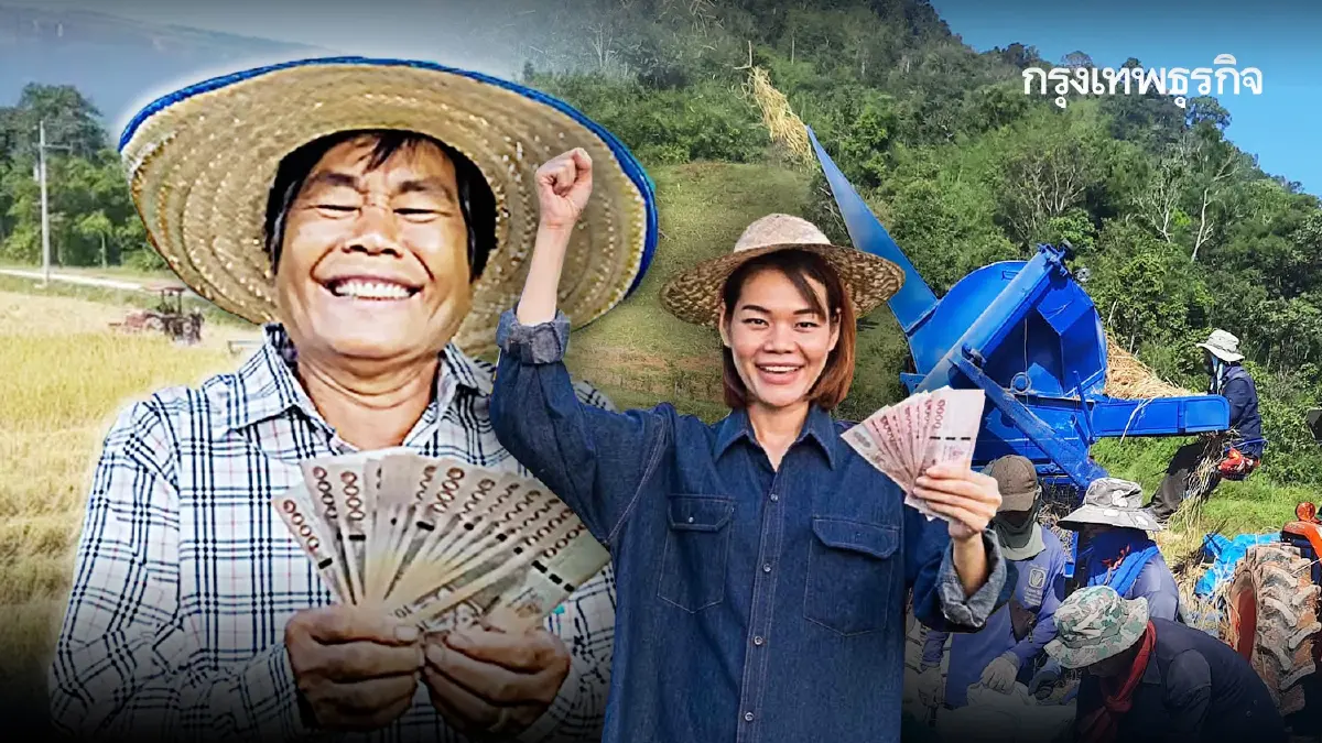 เงินช่วยเหลือชาวนา ข้าวนาปี ไร่ละ 1200 นาปรัง ไร่ละ 1000 ใครได้บ้าง