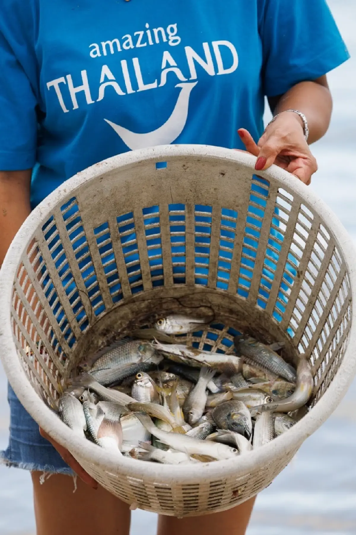 หาดสามร้อยยอด...วิถีธรรมดาที่ยังคงสุดยอด