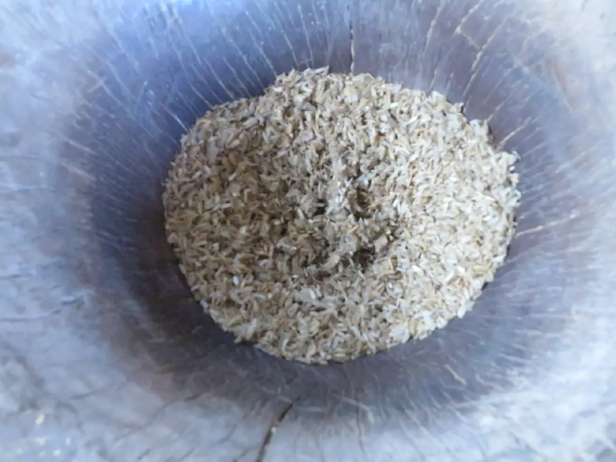 ข้าวเม่ากู้ชาติ ด้วยรักในข้าว