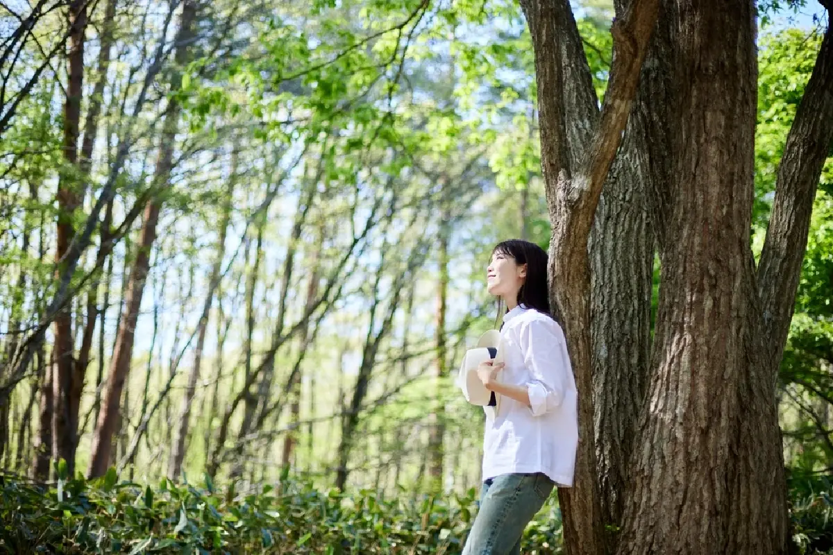 Silence Therapy 'ความเงียบบำบัด' ชะล้างจิตใจได้อย่างไร