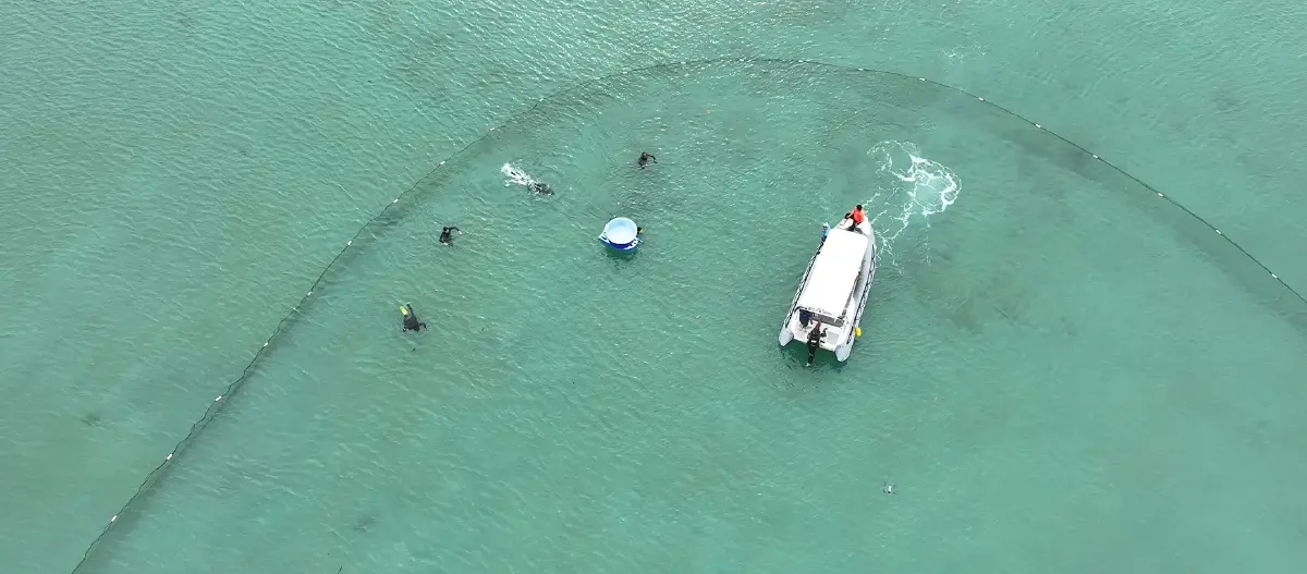 'กรมทะเล' สำรวจพร้อมตรวจสุขภาพ 'เต่าทะเลฝั่งอันดามัน'