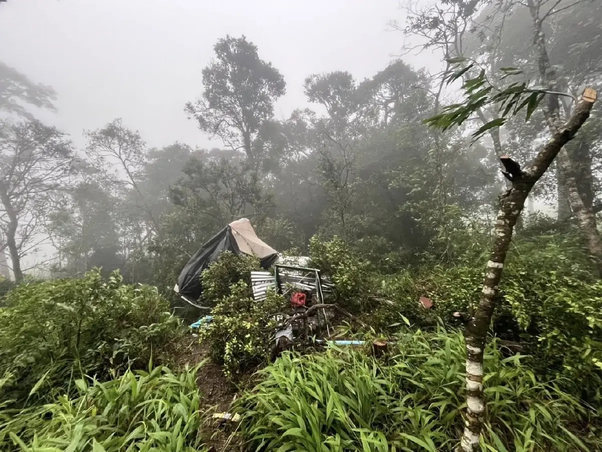 ฝนตกหนัก ลมแรง อช.ภูสอยดาว ปิดท่องเที่ยว-พักแรมบริเวณลานสนชั่วคราว