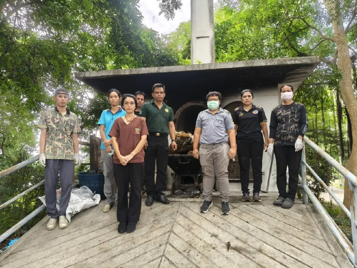 เศร้า 'ต้าร์สอง' เสือโคร่ง วัย 17 ปี ป่วยมะเร็งเต้านม เสียชีวิตแล้ว