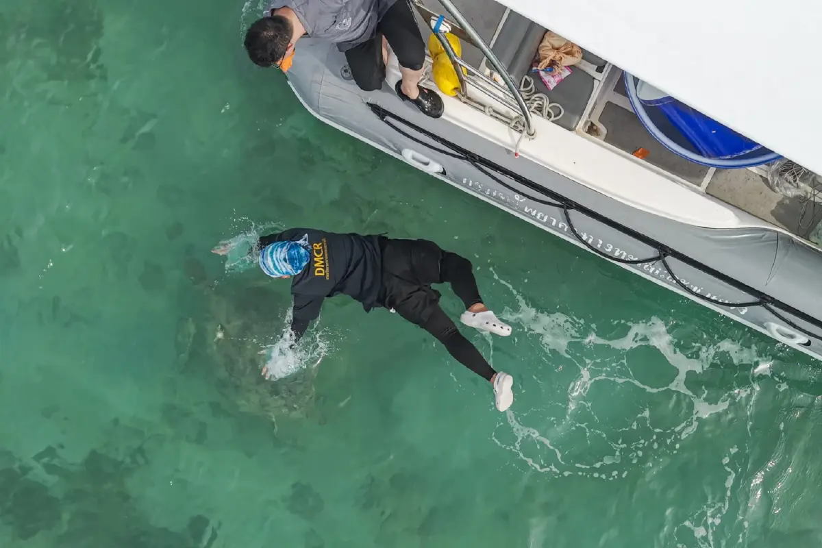 'กรมทะเล' สำรวจพร้อมตรวจสุขภาพ 'เต่าทะเลฝั่งอันดามัน'