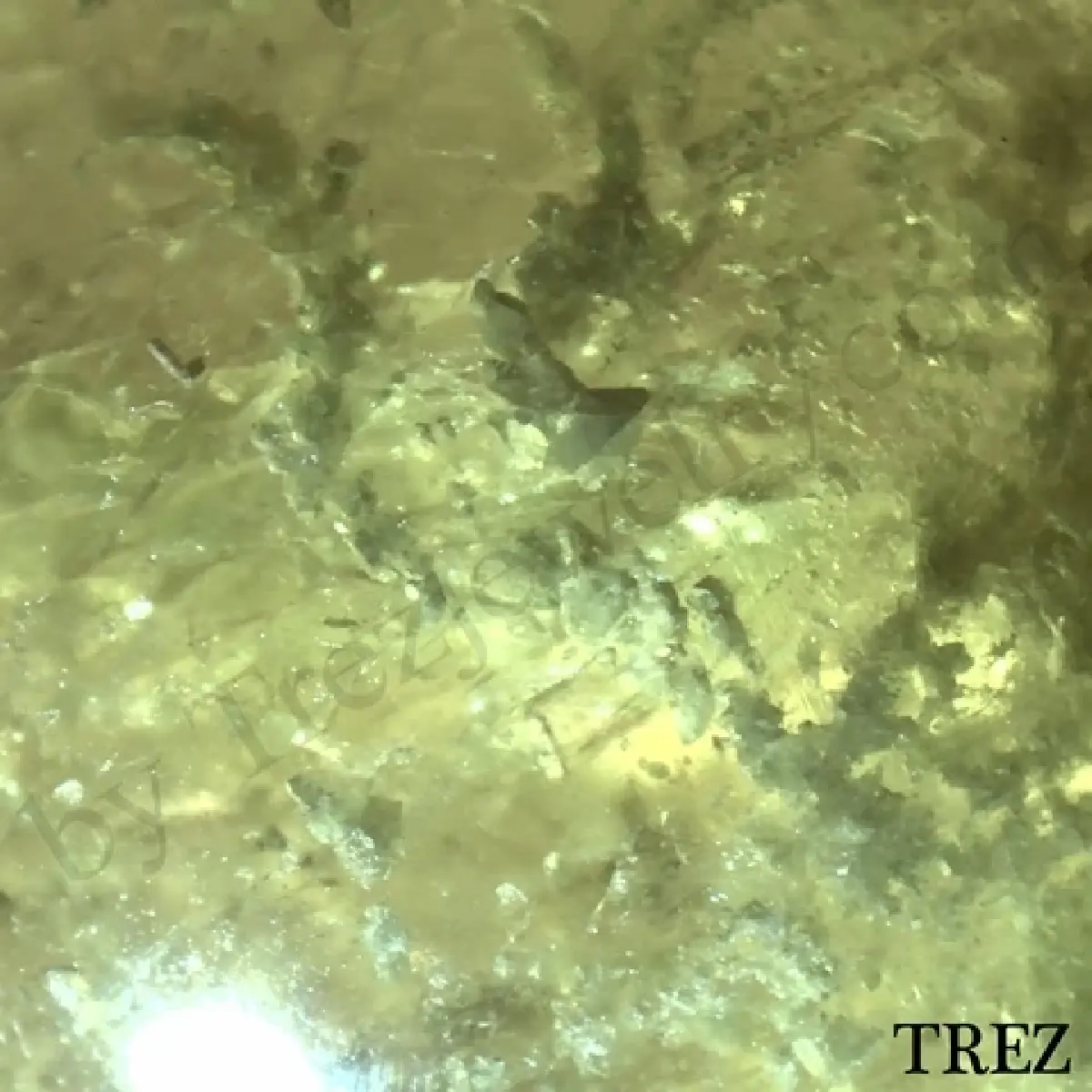 เรียนรู้เรื่องหยก ความเชื่อ วัฒนธรรม วิธีเลือกซื้อและดูแลหยก