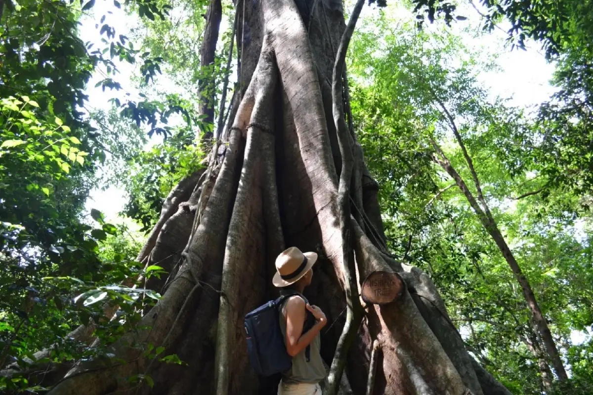 ‘แมริออท’ เปิดตัว The Intentional Traveler พฤติกรรมนักท่องเที่ยว