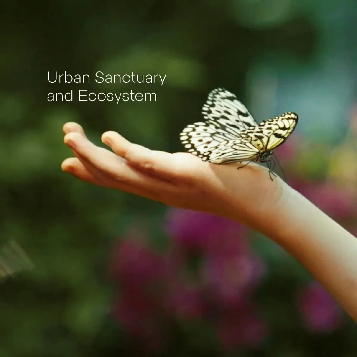 ดุสิตฯ เผยโฉมแรก-ชวนตั้งชื่อ "สวนลอยฟ้า" 7 ไร่ ใหญ่สุดใจกลางกรุง!