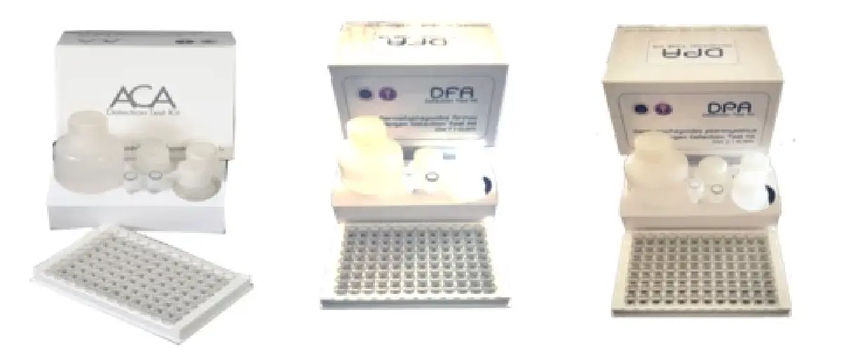 แพทย์ศิริราช อัปเดตงานวิจัย โรคภูมิแพ้แมลงสาบในประเทศไทย