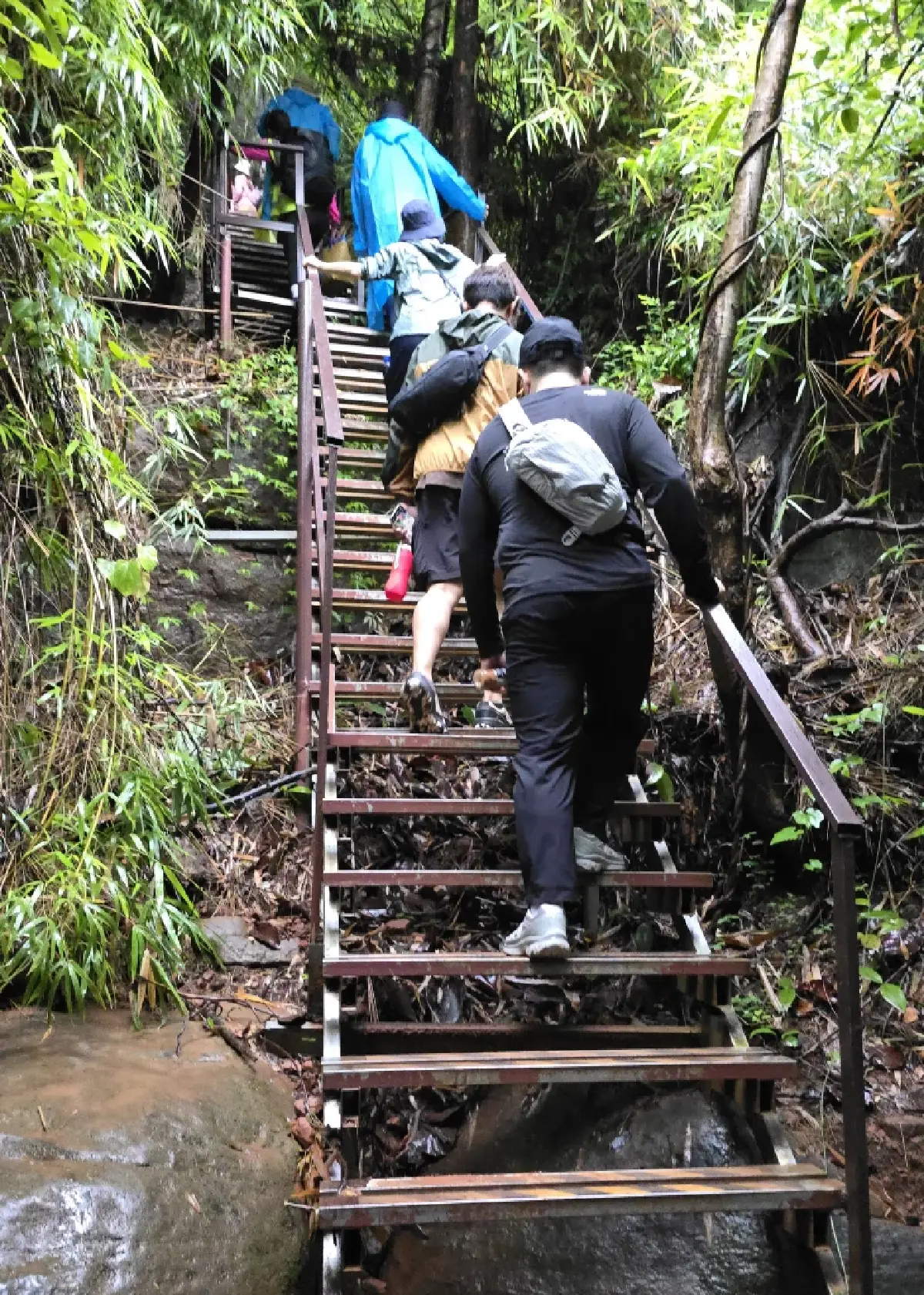 เปิดป่องเอี้ยมเยี่ยมแดนอีสาน ‘ถ้ำนาคา ป่าคำชะโนด’ และ หินสามวาฬ