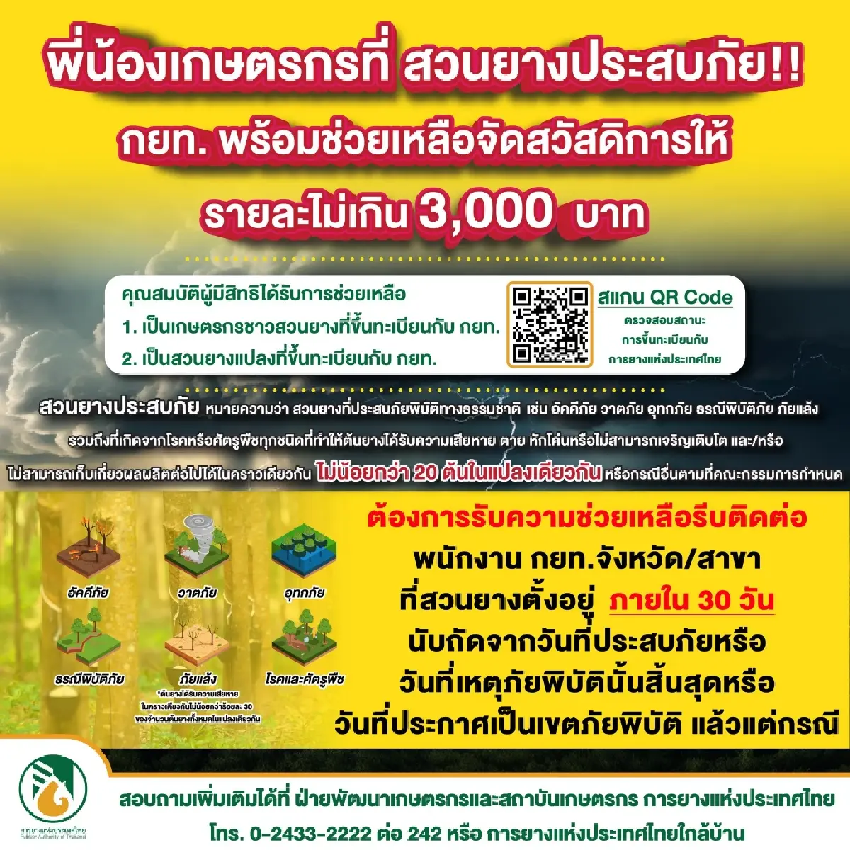กยท. เตรียมจ่ายเงินเยียวยาเกษตรกรสวนยาง ที่ประสบภัย รายละ 3,000 บาท