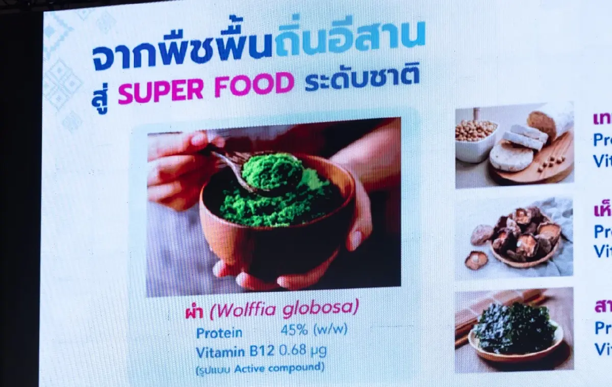 BDMS Wellness Clinic ดันอีสาน! ขับเคลื่อนเศรษฐกิจสุขภาพไทยสู่สากล