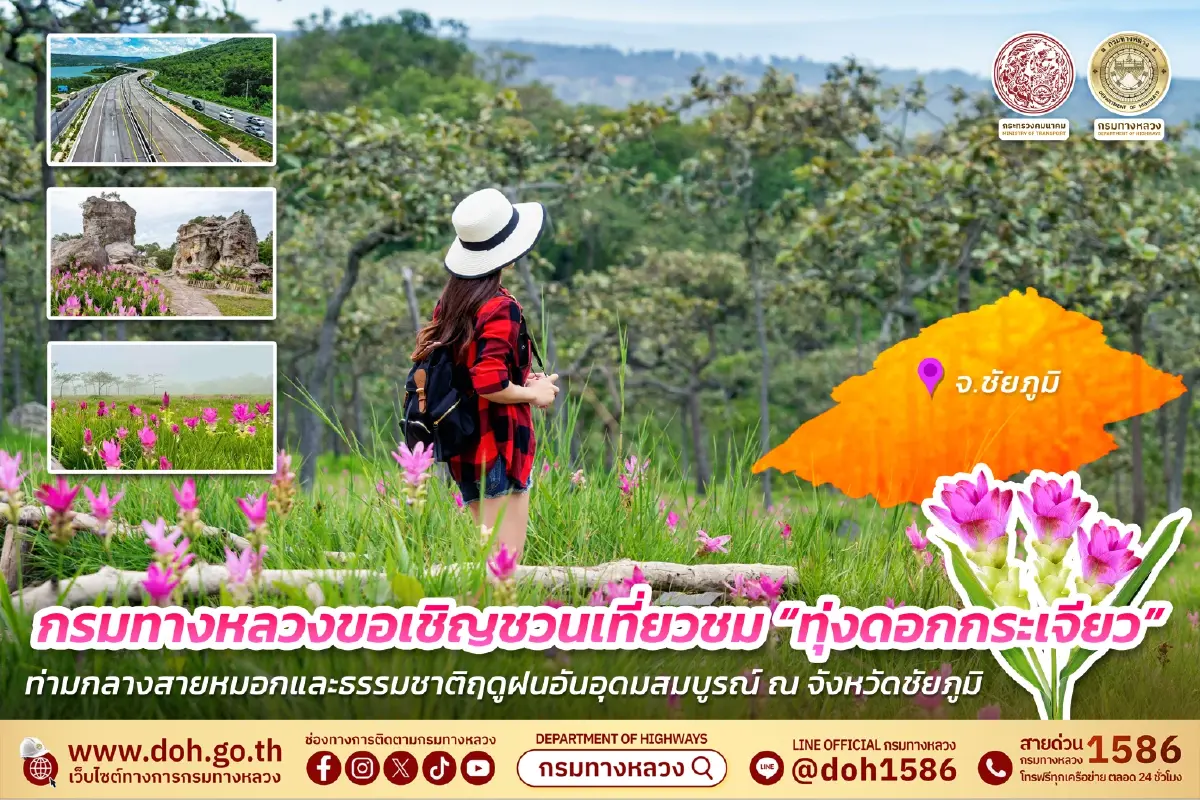 เส้นทางท่องเที่ยว ชมทุ่งดอกกระเจียว ชัยภูมิ บานสะพรั่งในช่วงฤดูฝน