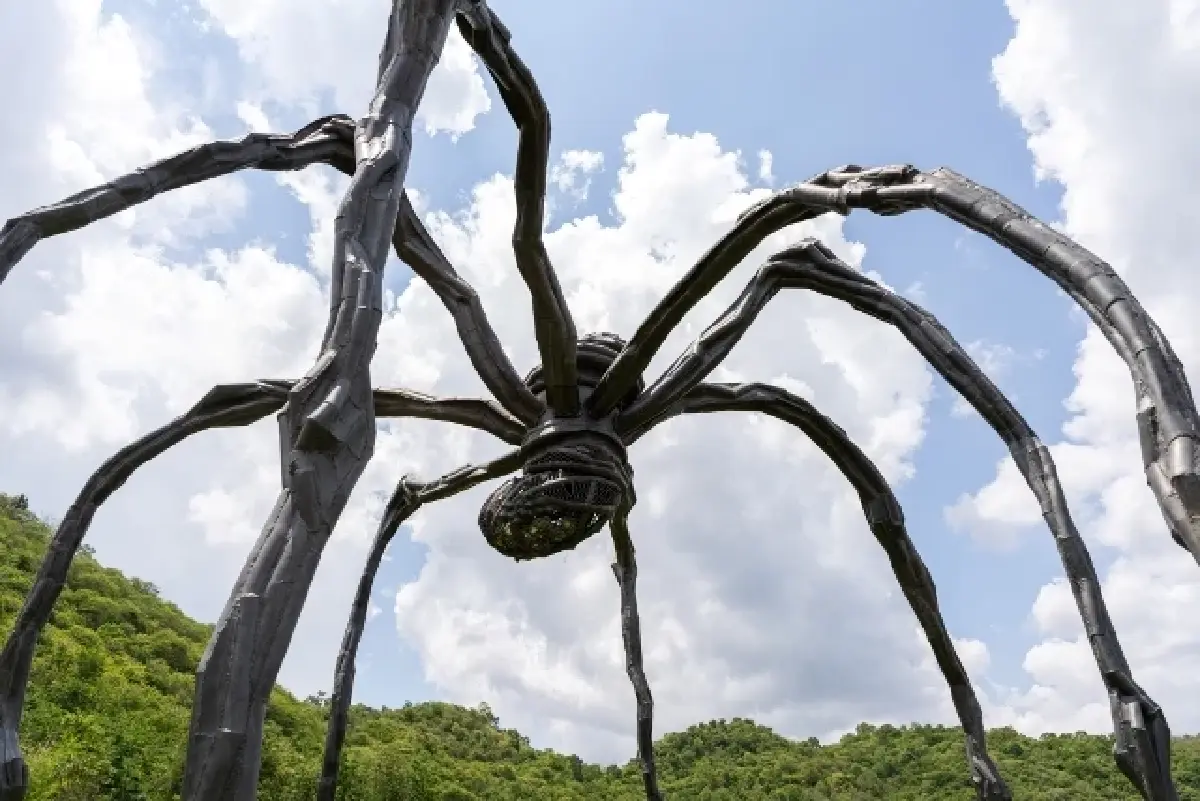 Farewell to Maman งานเลี้ยงอำลาแม่แมงมุม ณ ศิลป่า ‘เขาใหญ่’