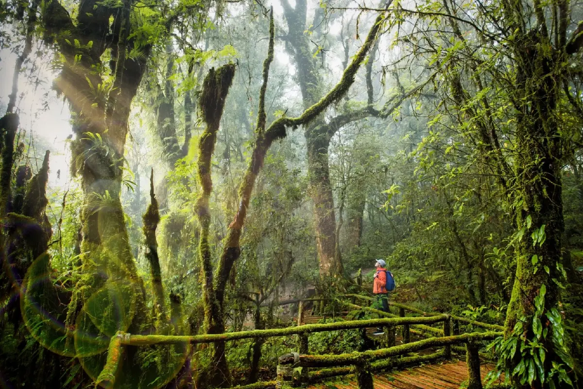 สิทธิ์เหลือ เที่ยวไทยคนละครึ่ง 2568 เที่ยวไหน พิกัดวันงานประเพณี