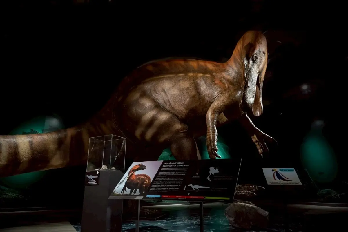'THAINOSAUR' ชวนย้อนเวลาชม 'ไดโนเสาร์พันธุ์ไทย' ที่ ท่าพิพิธภัณฑ์
