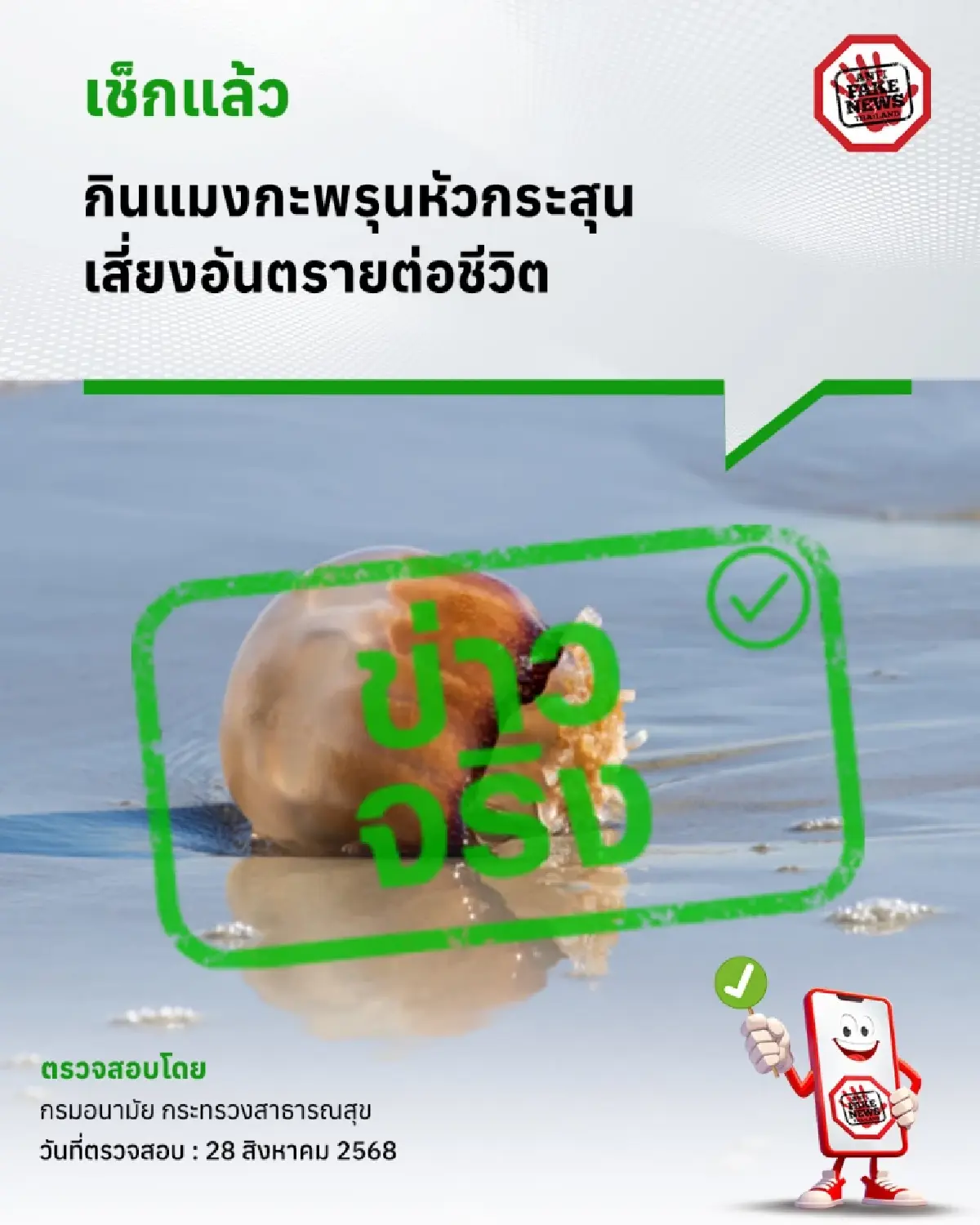 'กินแมงกะพรุนหัวกระสุน' มาแรง เสี่ยงอาการแพ้ อันตรายต่อชีวิต