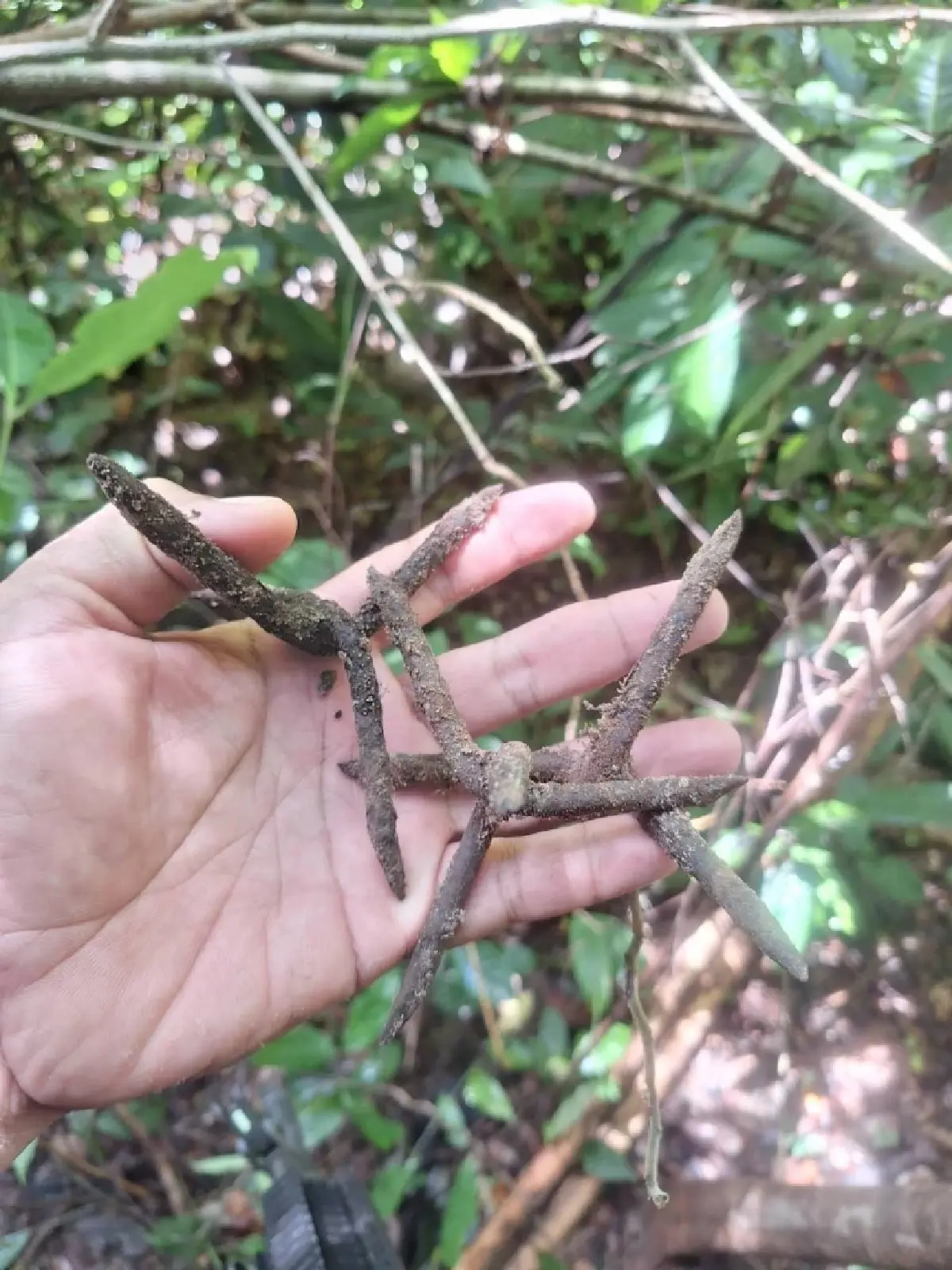 ทบ.ส่งหลักฐานฟ้อง IOT ทหารกัมพูชารุกล้ำอธิปไตย ลอบวางทุ่นระเบิด