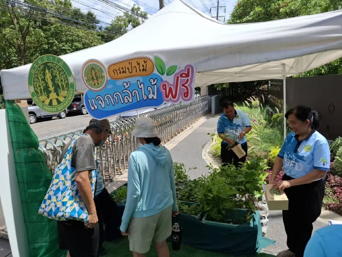 แจกจริง กล้าไม้ ต้นไม้ฟรี กทม. ต่างจังหวัด ไม้ดอก ไม้ผล รอรับได้เลย