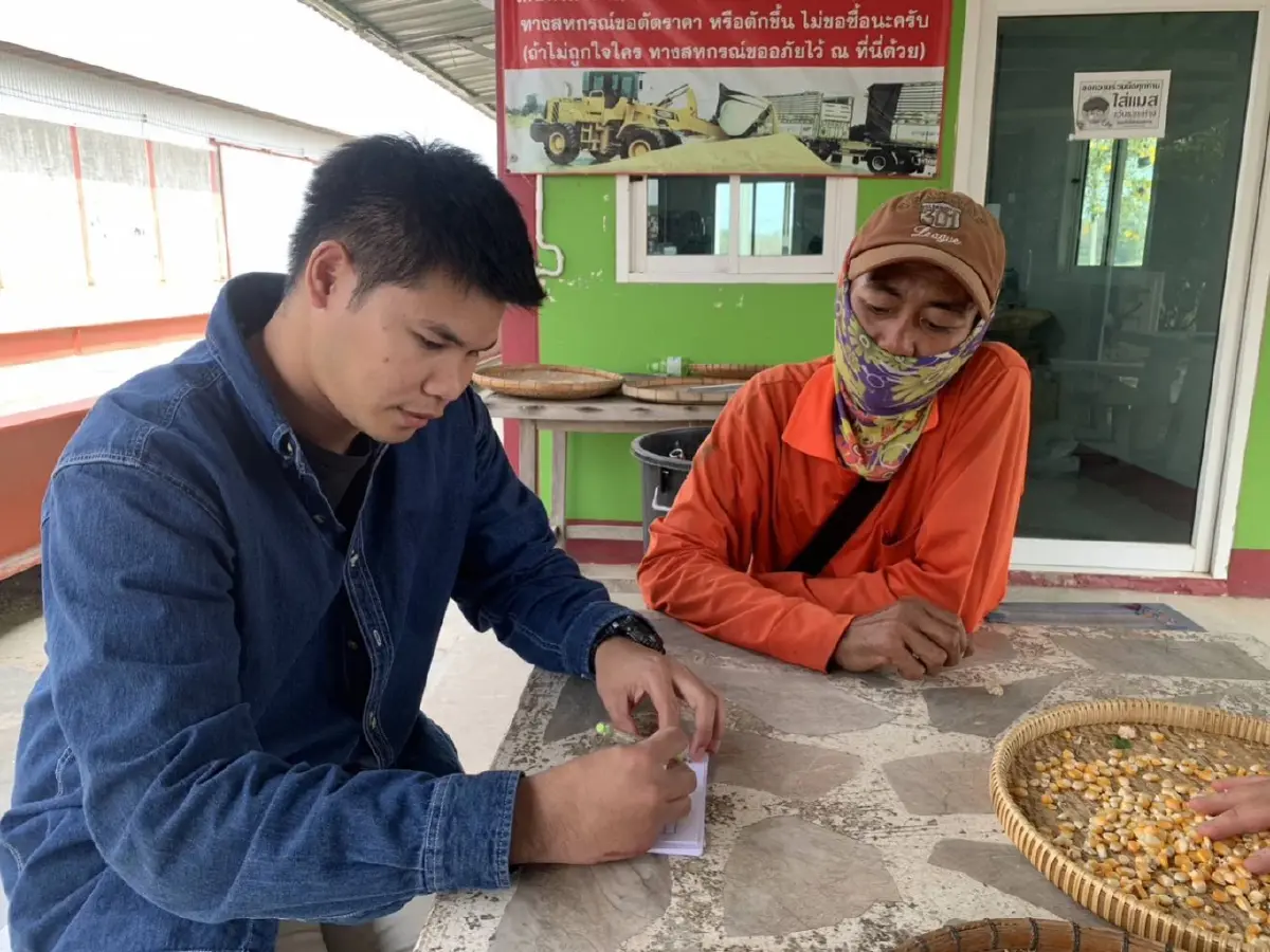 กรุงเทพโปรดิ๊วส เปิดรับซื้อข้าวโพดเลี้ยงสัตว์ ไม่รุก ไม่เผา ทั่วประเทศ