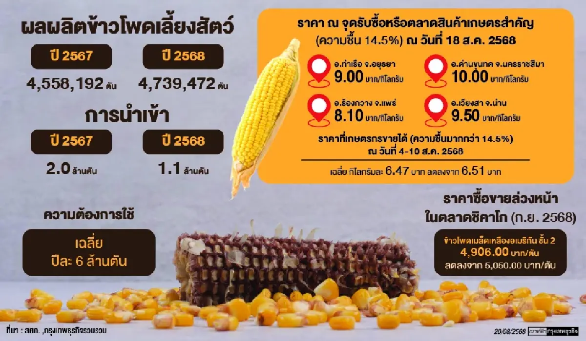 'ราคาข้าวโพดเลี้ยงสัตว์'ในประเทศร่วง  'จตุพร'ปัดปมสินค้าเกษตรสหรัฐป่วน