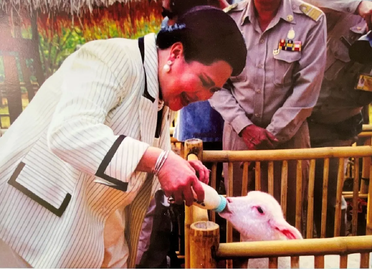 งานสีสรรพรรณไม้ฯ 68: ชิมเมนูราชสำนัก ชมห่านหัวสิงโต ปลาบอลลูน