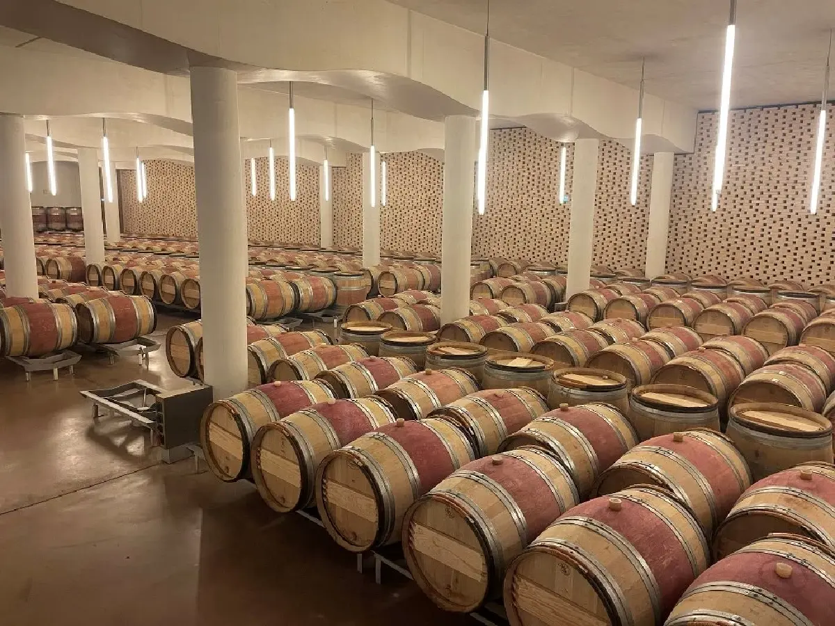 ชาโต เชอวาล บลอง ชิมเจ้า ‘ม้าขาว’ ถึงชาโต