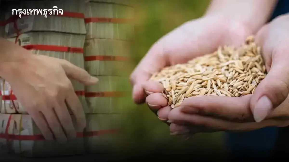 ออกแล้ว กำหนดวันเคาะเงินช่วยเหลือชาวนา ไร่ละ 1000 ปลูกข้าวนาปรัง