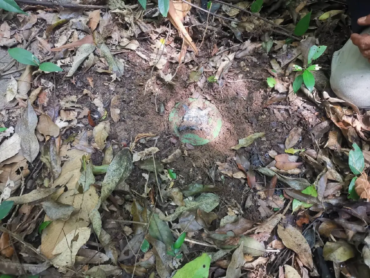 กองทัพภาคที่ 2 แจ้งขอรับการสนับสนุน 'ลวดหนามหีบเพลง' จำนวนมาก