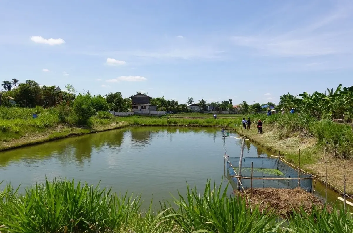 กรมประมง หนุนเกษตรกรใช้วัตถุดิบท้องถิ่น ผลิตอาหารสัตว์น้ำอินทรีย์