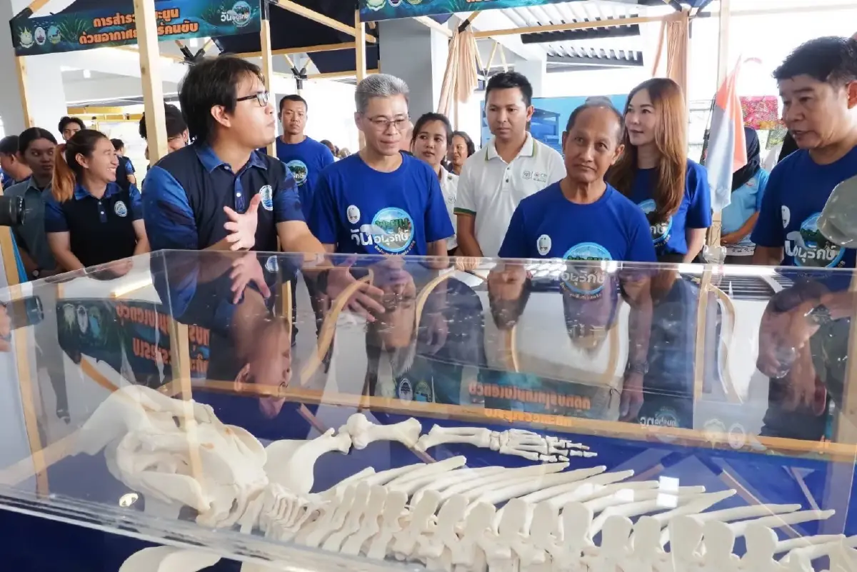 รวมพลังรักษ์พะยูน! กรมทะเลจัดงานใหญ่ คืนชีวิตให้เลตรัง