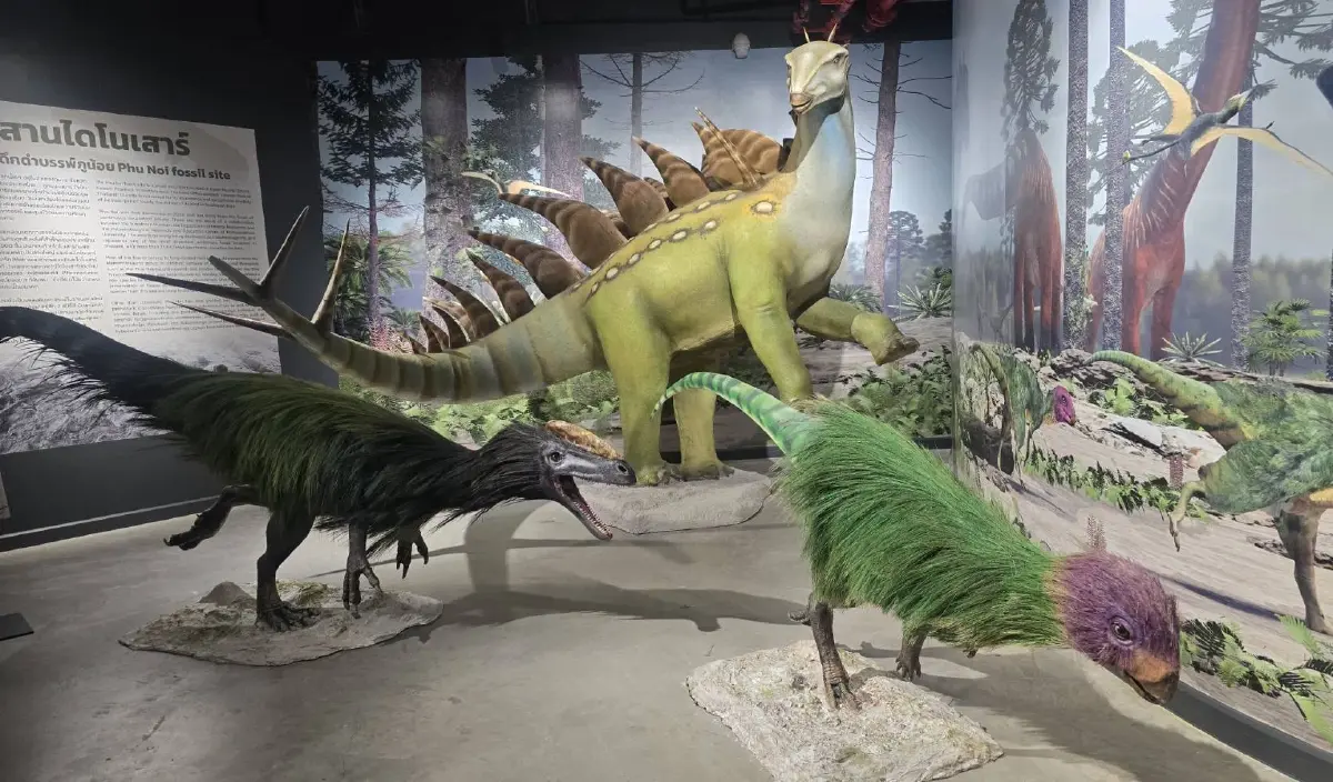 'THAINOSAUR' ชวนย้อนเวลาชม 'ไดโนเสาร์พันธุ์ไทย' ที่ ท่าพิพิธภัณฑ์