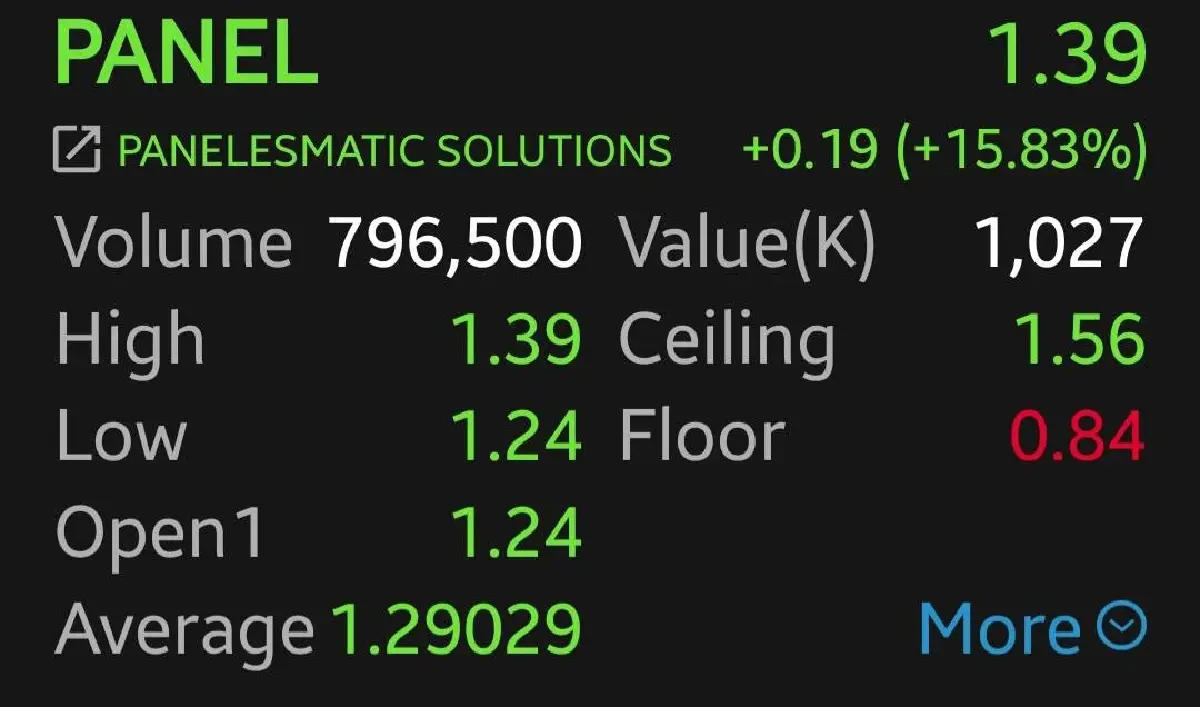 หุ้น PANEL พุ่ง 15.83% เตรียมเปิดโรงงานแห่งใหม่ โบรกคาดดันกำไร-รายได้ โตก้าวกระโดด