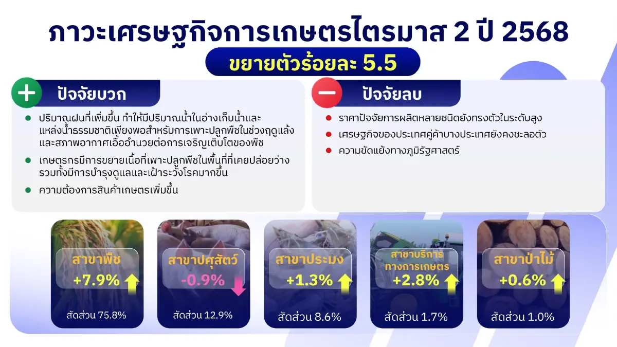 สภาพอากาศเอื้อ จีดีพีเกษตรไตรมาส2 พุ่ง 5.5 % คาดทั้งปีขยายตัว 3 %