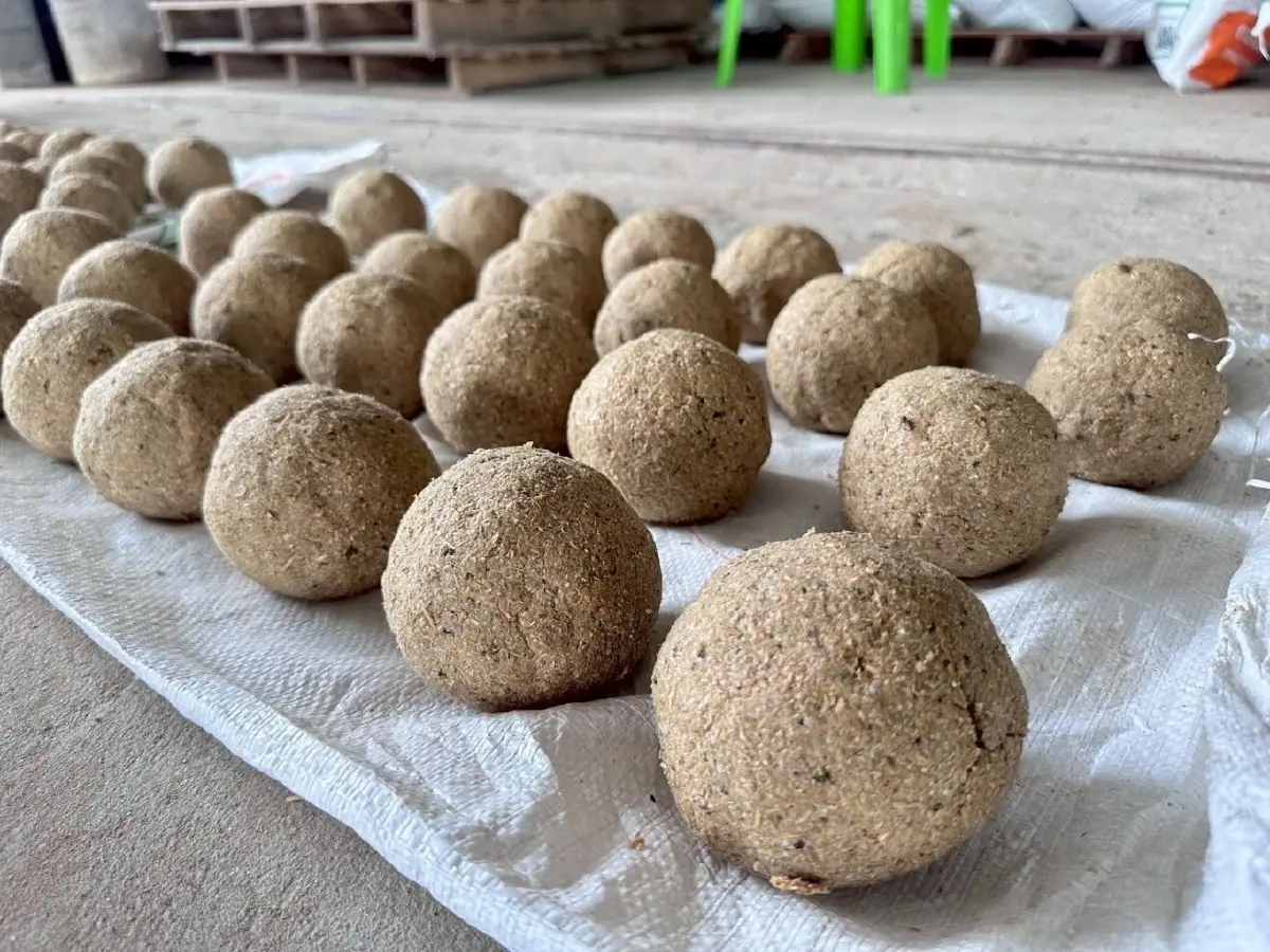 กรมประมง หนุนเกษตรกรใช้วัตถุดิบท้องถิ่น ผลิตอาหารสัตว์น้ำอินทรีย์