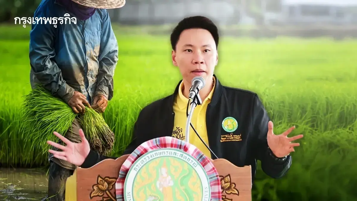 ได้วันไหน เงินช่วยเหลือชาวนา ไร่ละ 1200 บ. ผู้ปลูกข้าวนาปี 2568/69