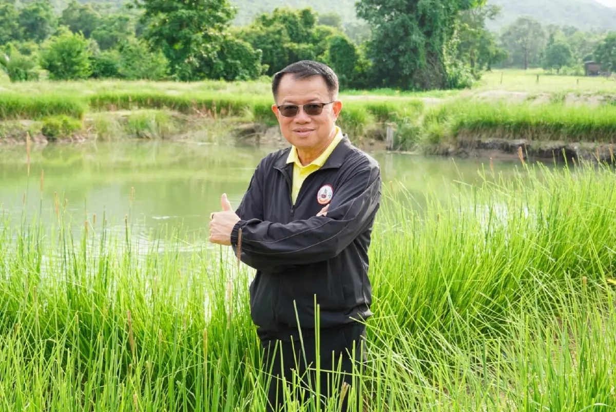 กรมพัฒนาที่ดิน หนุน‘ปลูกหญ้าแฝก’ ฟื้นฟูดิน กักเก็บน้ำ สร้างรายได้ยั่งยืน