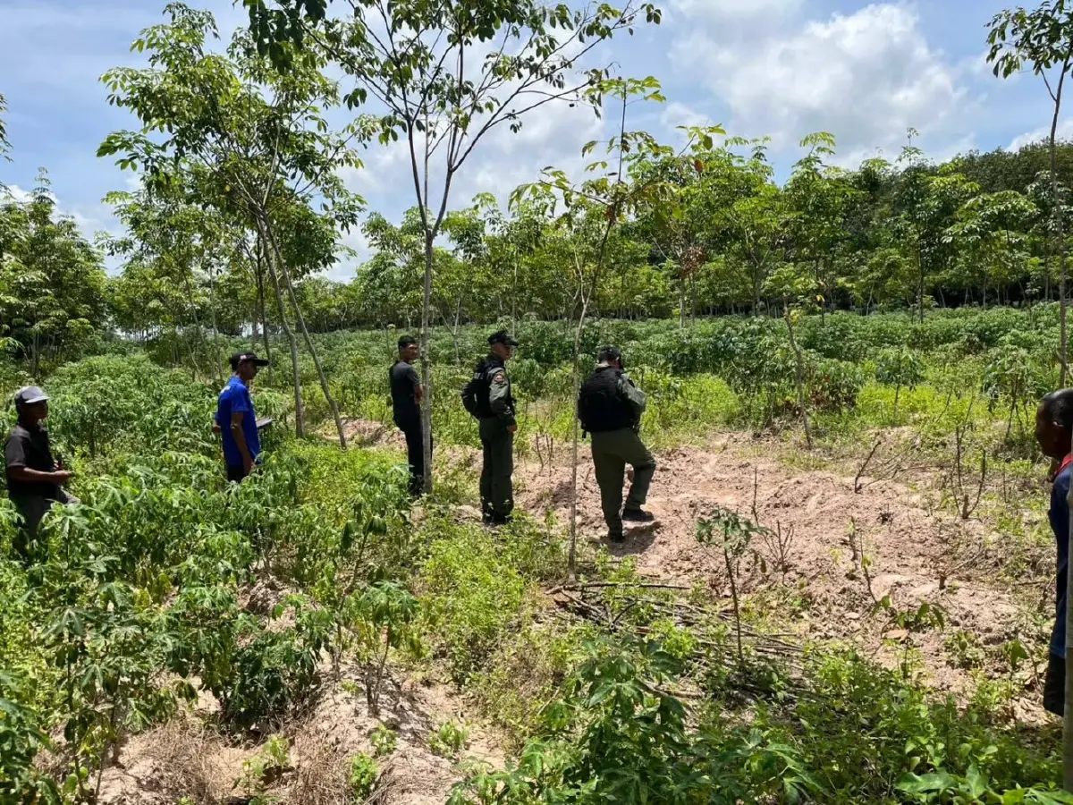 ชุด EOD สุรินทร์ รุดตรวจหลุมระเบิดจรวด BM-21 ตก อ.กาบเชิง กว่า 10 จุด กระสุนอื้อ