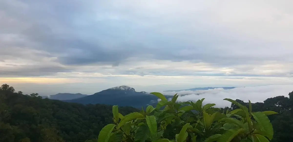 'ดอยอินทนนท์' หนาวสะท้าน 11°C รับหน้าฝน นทท.แห่สัมผัสสุดฟิน