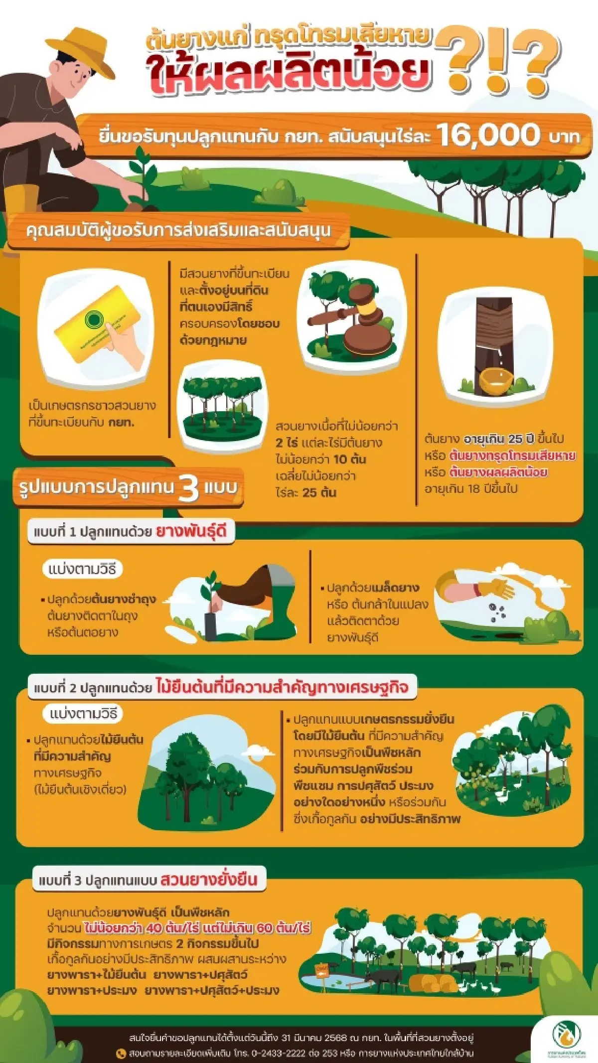 รับเงินก้อนใหญ่ คนปลูกยางพารา โค่งยางปลูกใหม่ ได้เงินไร่ละ 16000