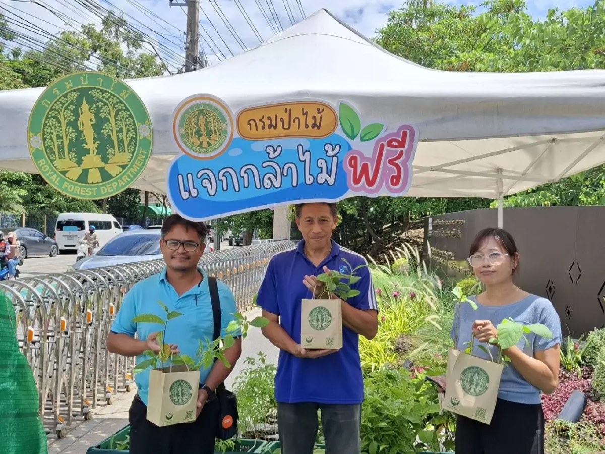 แจกจริง กล้าไม้ ต้นไม้ฟรี กทม. ต่างจังหวัด ไม้ดอก ไม้ผล รอรับได้เลย