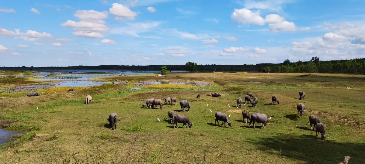 บายแบก...ปราสาทติดชายแดน